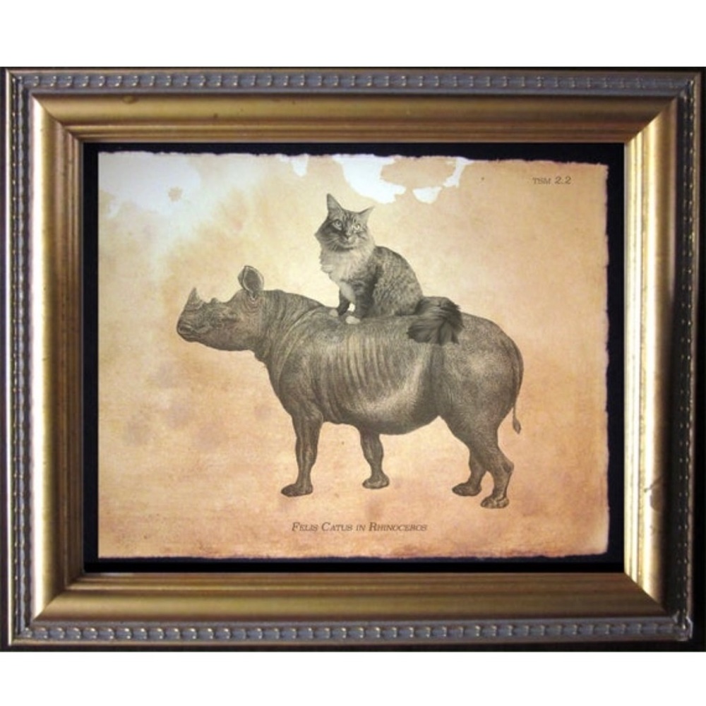 Maine Coon Cat Riding Rhino Wall Art Print Tea S…